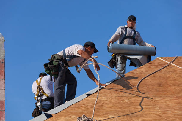 Best Best Roofing Contractors  in Canyon Day, AZ